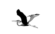 logo_Club.gif (1713 bytes)