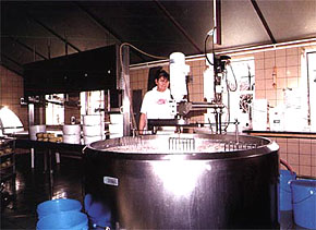 Kaasboerderij Zeilzicht