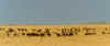 bo_19_34.jpg (29235 bytes)