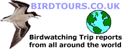 birdtours-logo.gif (7506 bytes)