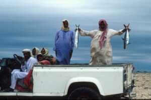 O_0257.jpg (24252 bytes)