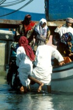 O_1161_deel.jpg
