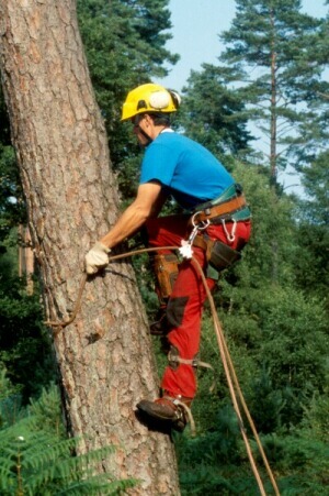 Fr_0106.jpg (100841 bytes)