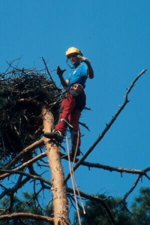 Fr_0113.jpg (67318 bytes)