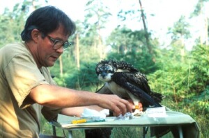 Fr_0136.jpg (37592 bytes)