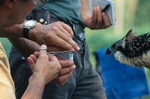 Fr_0143.jpg (25584 bytes)