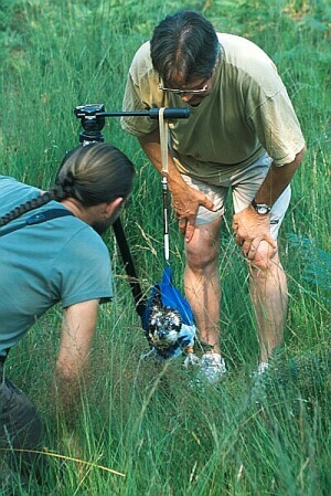 Fr_0160.jpg (68675 bytes)