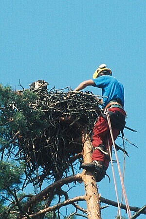 Fr_0176.jpg (62469 bytes)