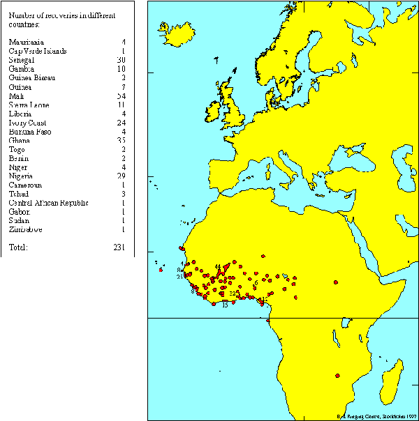 Zweedse visarenden in Afrika.gif (15168 bytes)