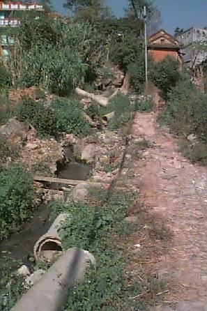 kusu7.jpg (35047 bytes)