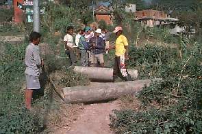 kusu8.jpg (17310 bytes)