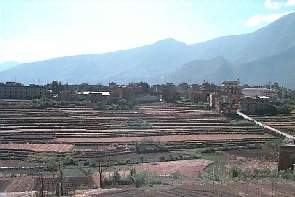 panga1.jpg (11038 bytes)