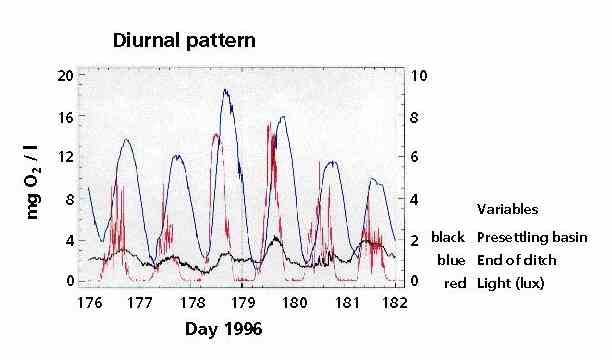 O2_dag.jpg (116597 bytes)