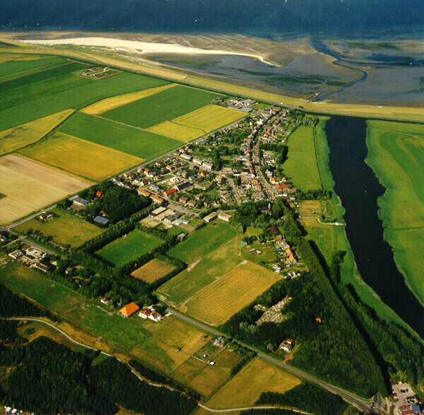 cocksdo.jpg (43856 bytes)