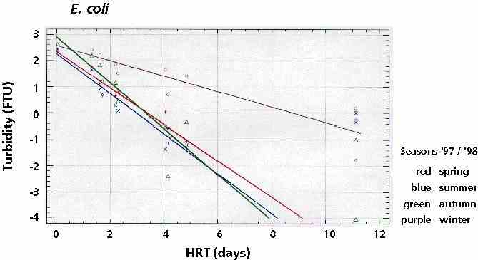coli_kl.jpg (18713 bytes)