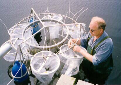 doorst_1.jpg (29180 bytes)