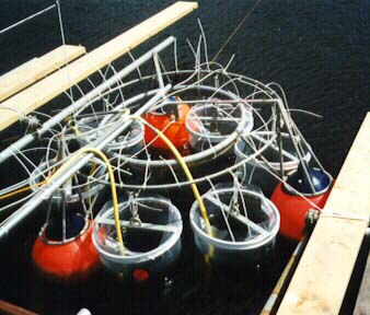 doorst_3.jpg (32888 bytes)