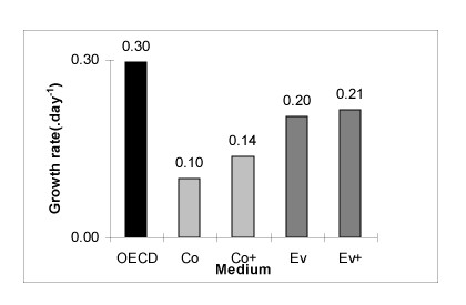 fig16.jpg (14555 bytes)