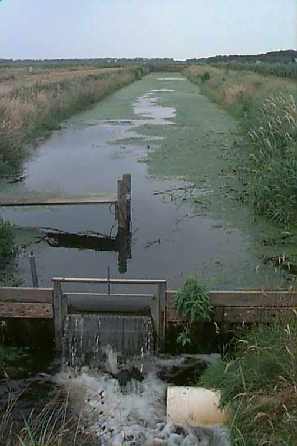 helo10_kl.jpg (15588 bytes)