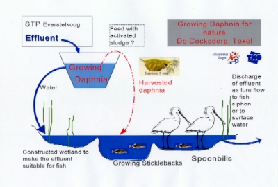 kwekel_schema_eng_400_300.jpg (70671 bytes)