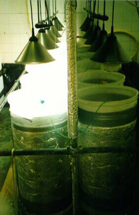 lab_1.jpg (22273 bytes)