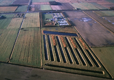 Aerial View of the Everstekoog Constructed Wetland !jpeg-fo.kl.jpg (99192 bytes)