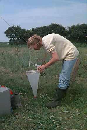 mirjam04_kl.jpg (16382 bytes)