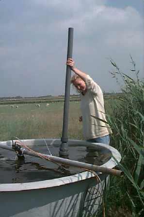 mirjam05_kl.jpg (13378 bytes)