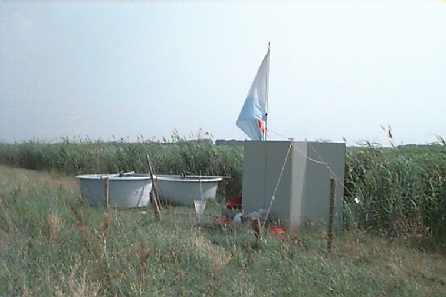 mirjam07_kl.jpg (12019 bytes)