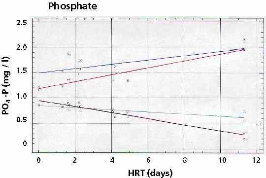 PO4_kl.jpg (15879 bytes)