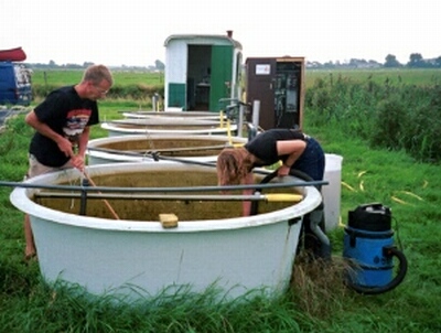 Fig_07.jpg (61758 bytes)