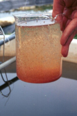 Fig_13.jpg (48061 bytes)