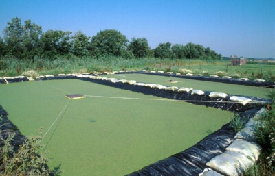 Fig_21.jpg (55322 bytes)