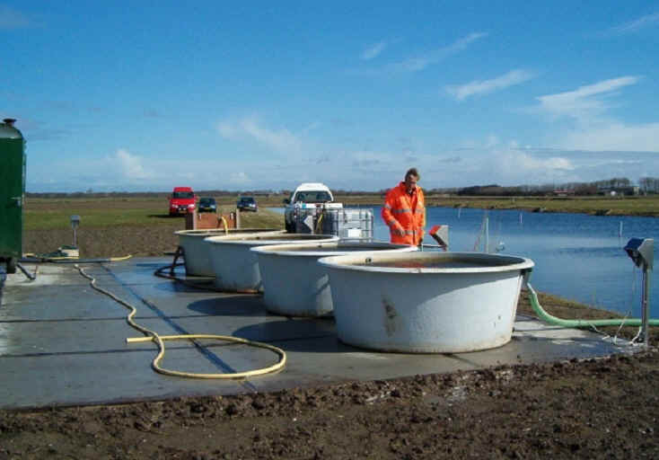 wpe6.jpg (33570 bytes)