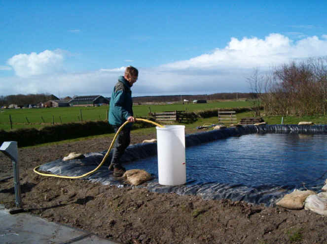 wpe7.jpg (35419 bytes)