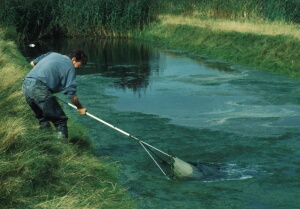 helo_003.jpg (29285 bytes)