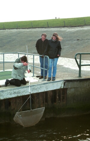 helo_5_4_16.jpg (64462 bytes)