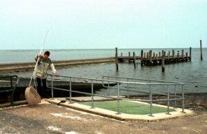 helo_5_5_21.jpg (28558 bytes)