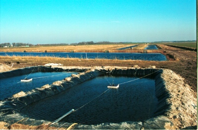 helo_7_2_9.jpg (56250 bytes)