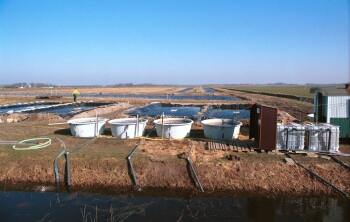 helo_7_2_14_350_pix.jpg (46841 bytes)