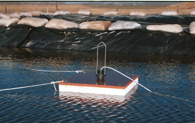 helo_7_4_23.jpg (52678 bytes)