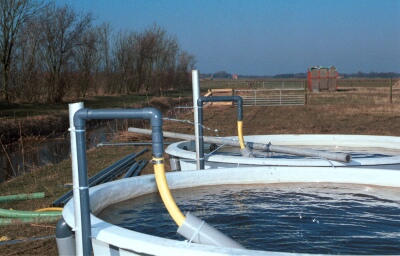 helo_7_4_24.jpg (51478 bytes)