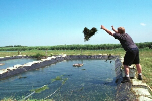 helo_11_5_34.jpg (34372 bytes)