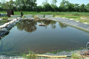 helo_11_6_36.jpg (41114 bytes)