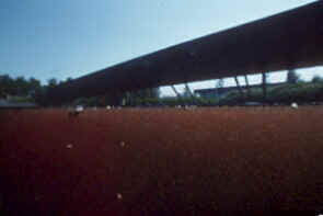 watervlooien Heino 3.jpg (15673 bytes)