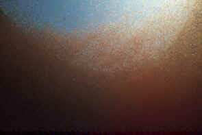 watervlooien Heino 5.jpg (17976 bytes)