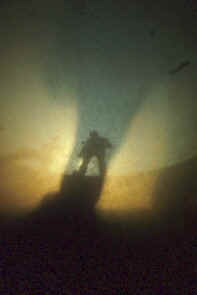 watervlooien vormen schaduwbeeld klaarmeester.jpg (14741 bytes)