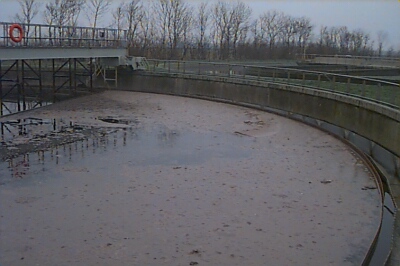 kwek_01.jpg (50290 bytes)