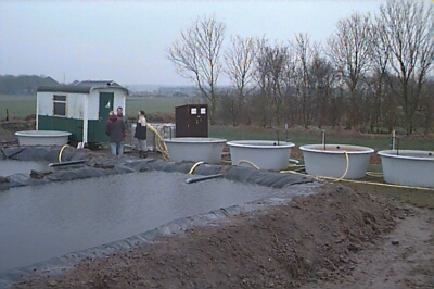 kwek_04.jpg (56636 bytes)