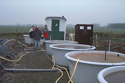 kwek_05.jpg (50560 bytes)